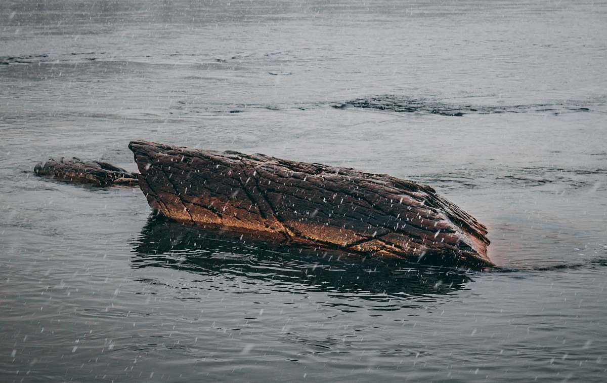 brunswick family campground brown wood log drifting in the middle of water brunswick